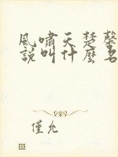 风啸天楚馨月小说叫什么名字