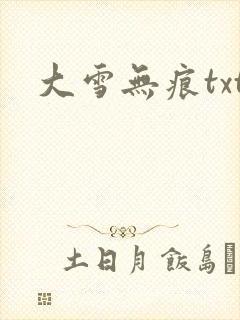大雪无痕txt