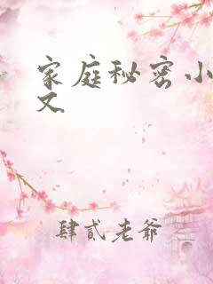 家庭秘密小说全文