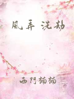 风弄 洗劫