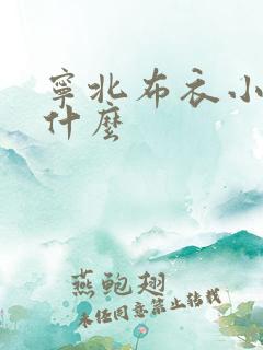 宁北布衣小说叫什么