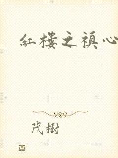 红楼之禛心锁玉