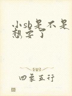 小sb是不是又想要了