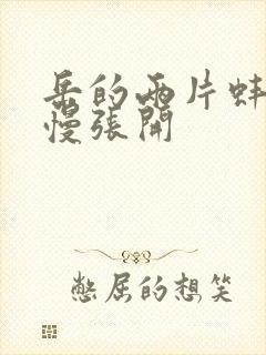 岳的两片蚌肉慢慢张开