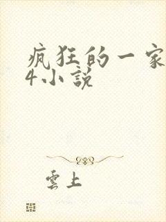 疯狂的一家ps4小说