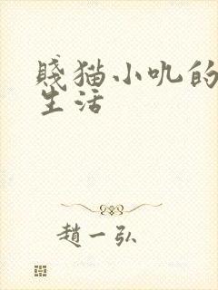 贱猫小叽的幸福生活