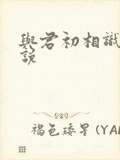 与君初相识 小说