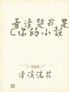 看清楚我是怎么C你的小说