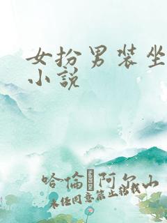 女扮男装坐江山小说