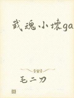 武魂小坏ga