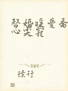 替婚暖爱乔少的心尖宠