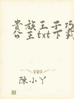 贵族王子巧遇穷公主txt下载