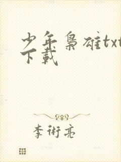 少年枭雄txt下载