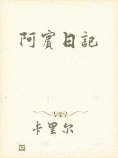 阿宾日记