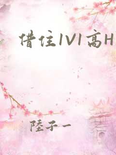 借住1V1高H