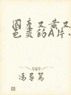 国产又黄又大又色爽的A片小说