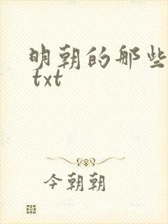 明朝的那些事儿 txt