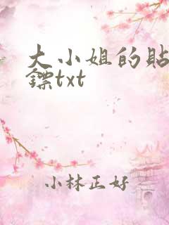 大小姐的贴身保镖txt