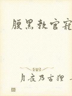 腹黑教官宠逃妻