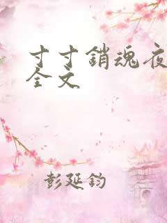 寸寸销魂夜春光全文