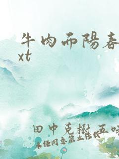 牛肉面阳春面txt