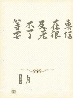 等不及在车里就要了老狼信息