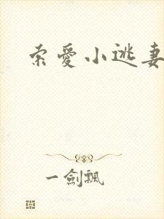 索爱小逃妻