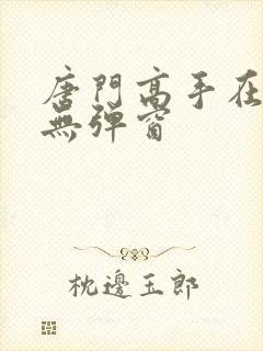 唐门高手在异世无弹窗