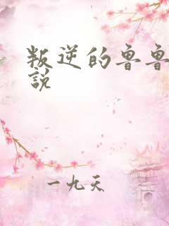 叛逆的鲁鲁修小说