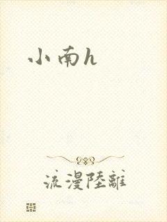 小南h