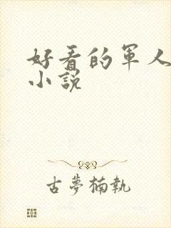 好看的军人高干小说