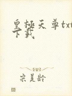 皇极天尊txt下载