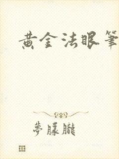 黄金法眼笔趣阁