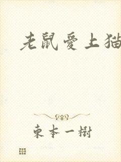 老鼠爱上猫下载