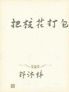 把校花打包带走