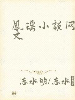 凤瑶小说网高辣文