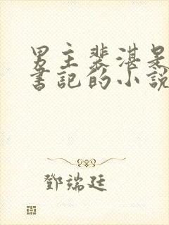 男主裴湛是省委书记的小说