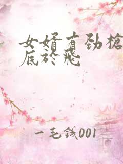 女婿有劲枪枪到底于飞