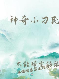 神奇小刁民