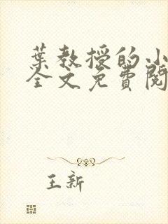 叶教授的小黏糖全文免费阅读