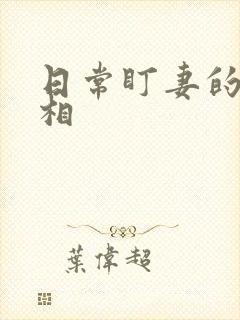 日常盯妻的小丞相