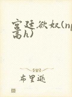 宫廷欲奴(np高h)