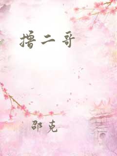 撸二哥