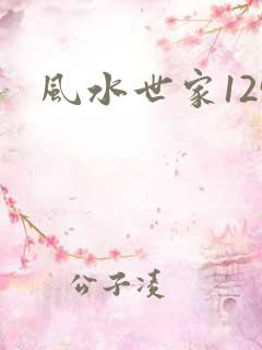 风水世家129