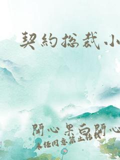 契约总裁小萌宝