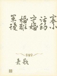 军婚守活寡重生后离婚的小说