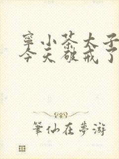 宁小茶太子殿下今天破戒了吗免费阅读