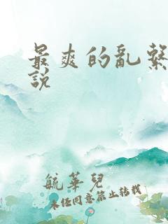 最爽的乱系列小说