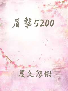 盾击5200