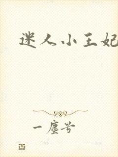 迷人小王妃